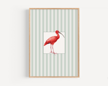Watercolor Scarlet Ibis Striped Print