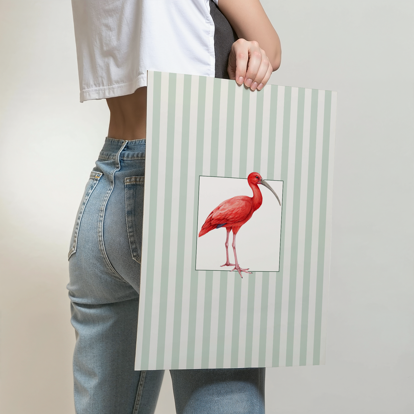 Watercolor Scarlet Ibis Striped Print